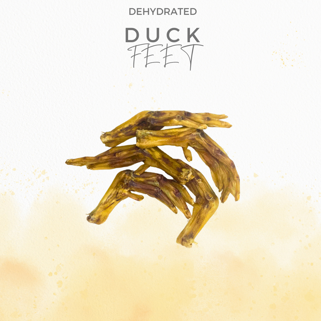 100% Natural Duck Feet - Air Dried | Nutritious Treats for Dogs