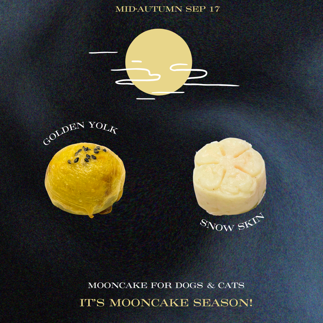 Limited Edition Mooncakes for dogs and cats – Snow Skins Mooncake & Golden Yolk Mooncake