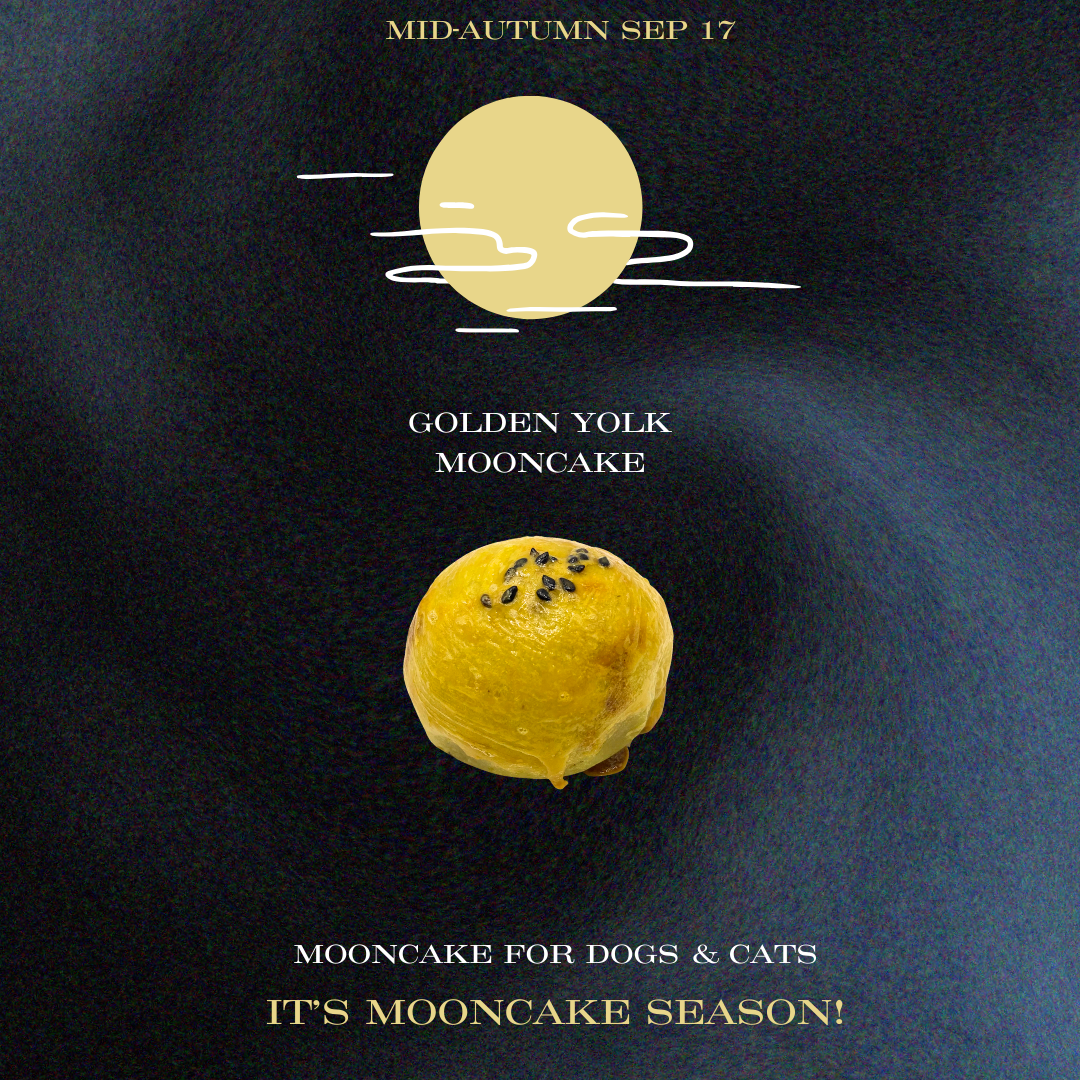 Limited Edition Mooncakes for dogs and cats – Snow Skins Mooncake & Golden Yolk Mooncake