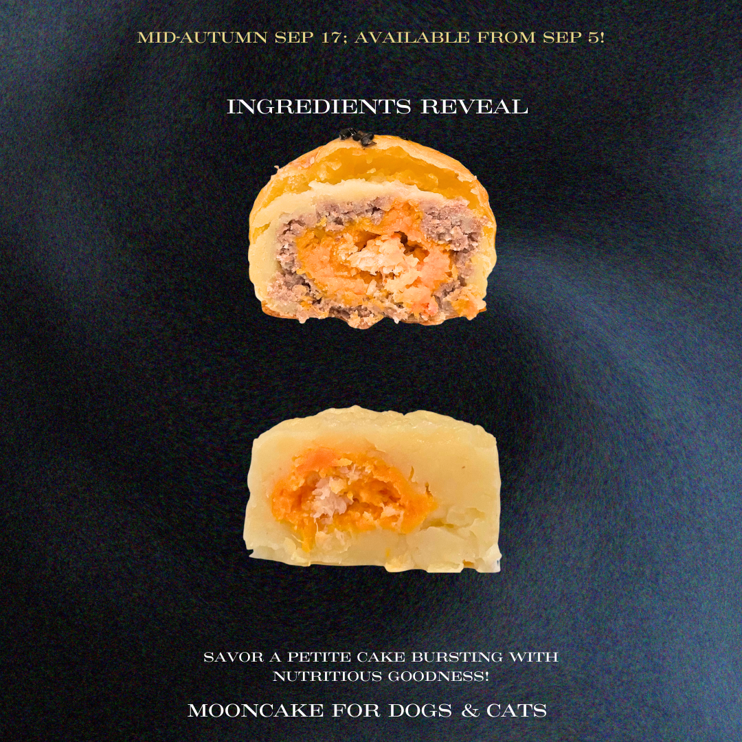 Limited Edition Mooncakes for dogs and cats – Snow Skins Mooncake & Golden Yolk Mooncake