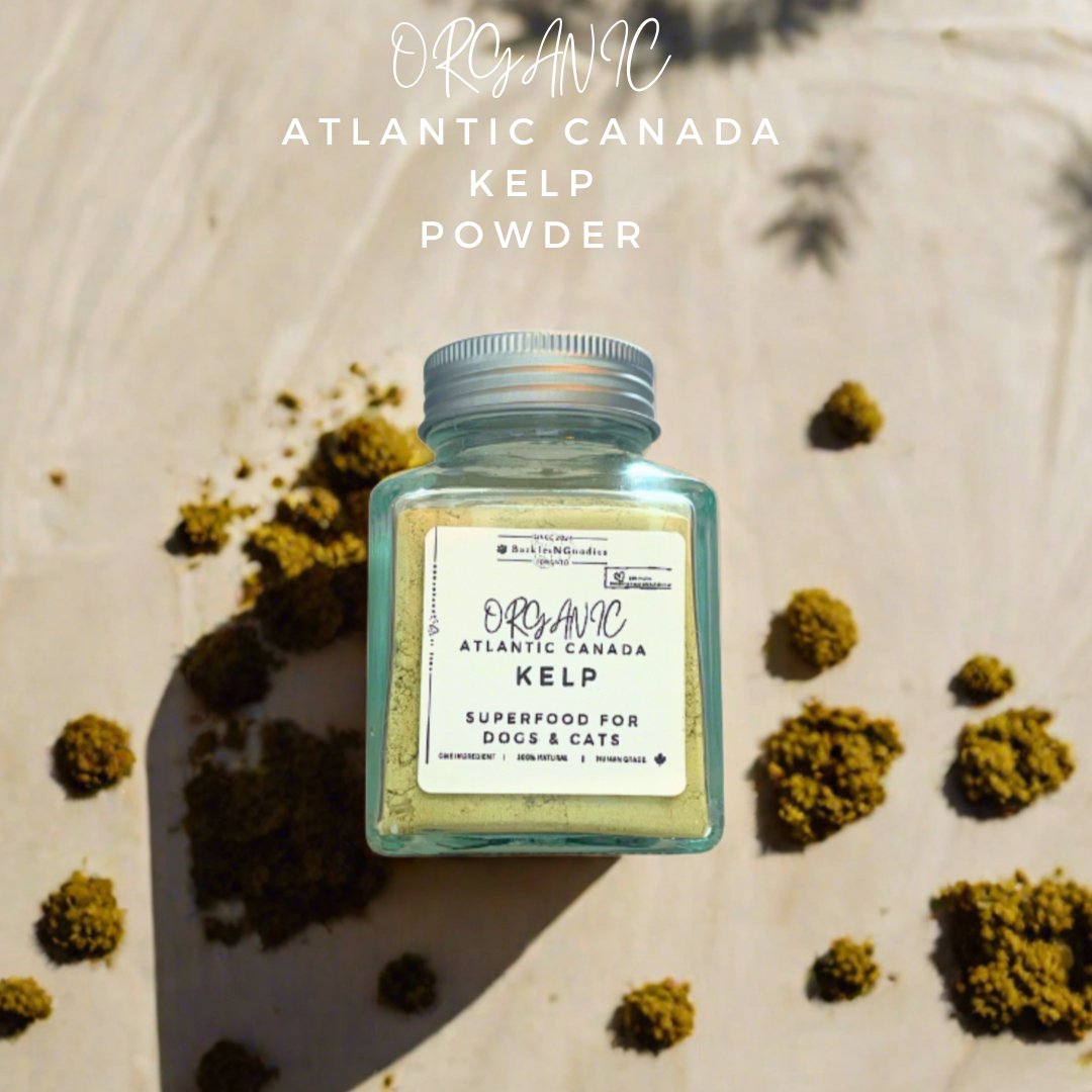 Organic Atlantic Canada Kelp Powder - Superfood for Dogs and Cats - BarkiesNGoodies