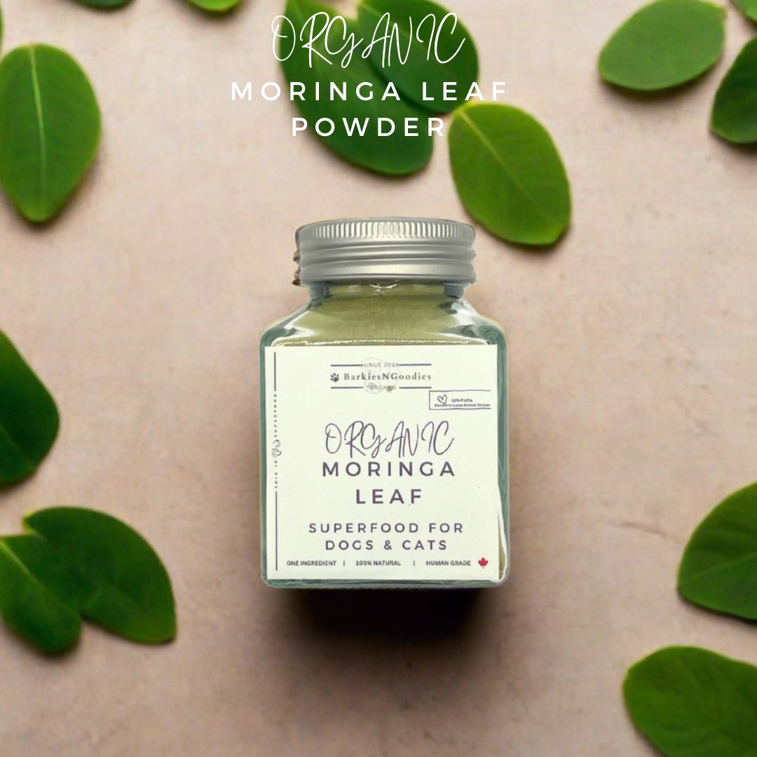 Organic Moringa Leaf Powder - Superfood for Dogs and Cats - BarkiesNGoodies